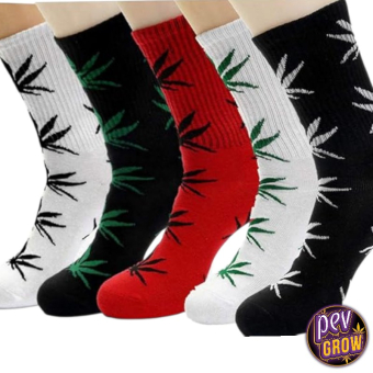 Acheter Chaussettes feuilles de cannabis Acheter Chaussettes feuilles de cannabis