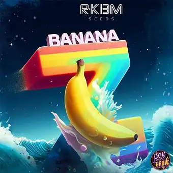 Graines Banana Z R-Kiem...
