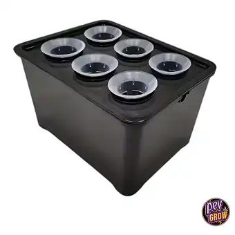 Hydroponic Cloning System...