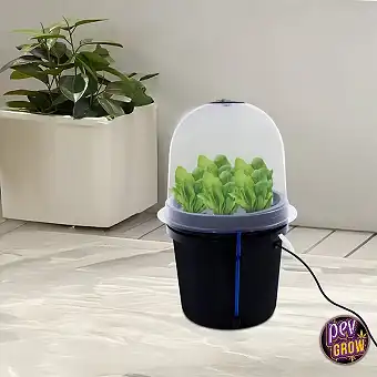 8-Pot DWC Hydroponic...
