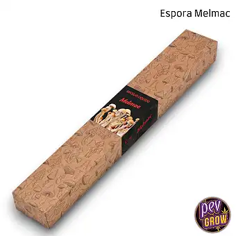 Esporas setas mágicas...