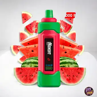 Vaper Desechable 25000 Caladas Watermelon ICE 0% Nicotina