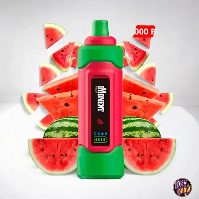 Vaper Monouso Ricaricabile Senza Nicotina 25000 Tiri Watermelon ICE 0%