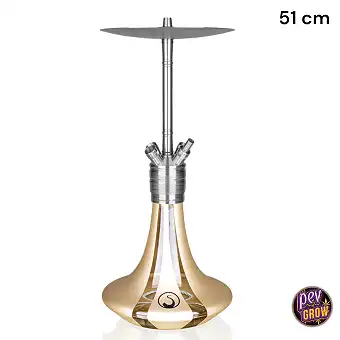 Chicha Steamulation...