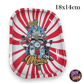 Monkey King Metal Tray