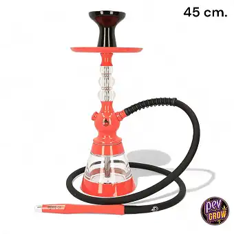 Shisha CELESTE 45 cm Coral...