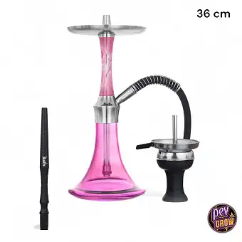 Chicha Aladin EPOX 360 Rose...
