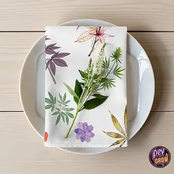 4 Elegante Cannabis & Pilz...