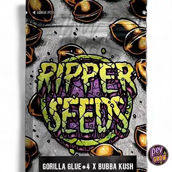 Gorilla Glue 4 x Bubba Kush...