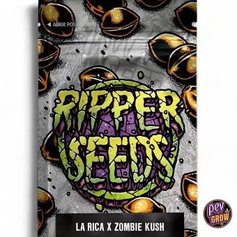 Feminised seeds La Rica x...