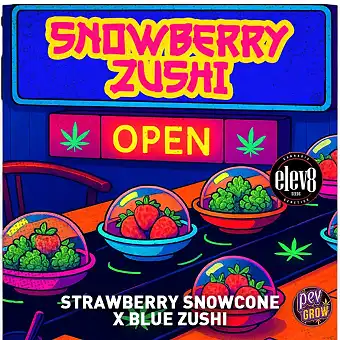 Snowberry Zushi Semi...