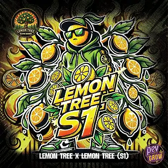 Elev8 Seeds'ten Lemon Tree...