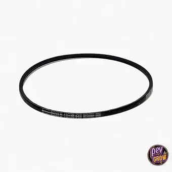 Cinghia di Distribuzione...