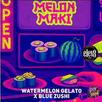 Melon Maki feminisierte...