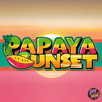 Papaya Sunset Feminized...
