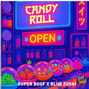 Candy Roll feminisierte...