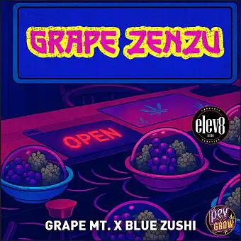 Grape Zenzu Semințe...