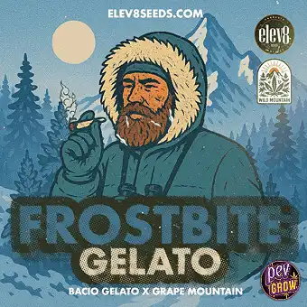 Frostbite Gelato...