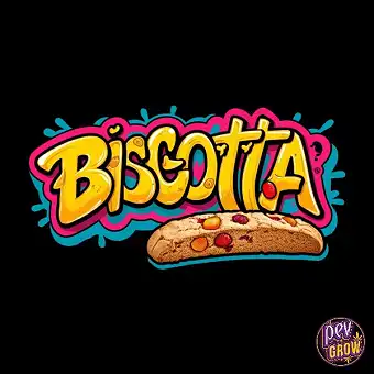 Biscotta Graines Féminisées...