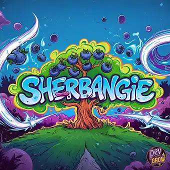 Sherbangie Graines...