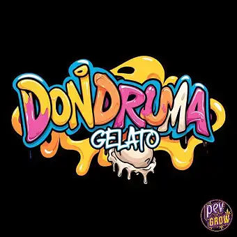 Dondruma Gelato Graines...