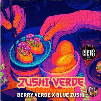 Acheter Zushi Verde Semillas Feminizadas | Elev8 Seeds Acheter Zushi Verde Semillas Feminizadas | Elev8 Seeds