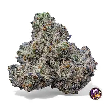 Bogota Cookies Seed Bank...