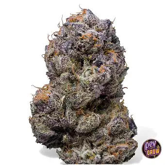 Lemongrass semillas...