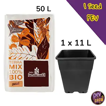 Kit Exterior Feminizado –...