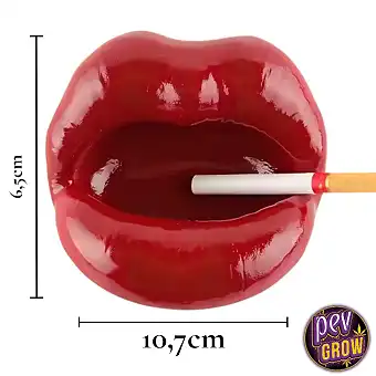Cenicero anti humo labios...