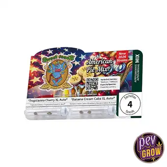 Cannabis seeds American Pie...