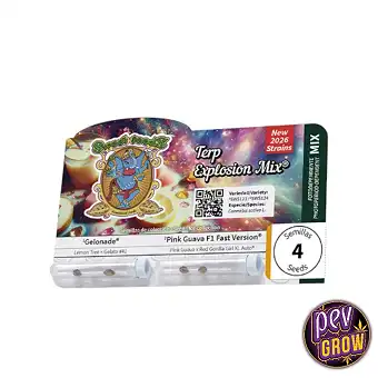 Cannabis samen Terp...