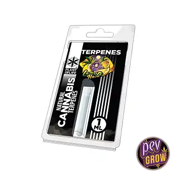 Terpen Lemon Haze  1ml