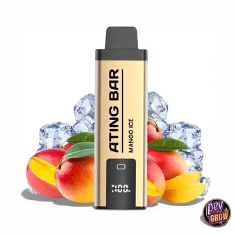 Ating Jumbo 20000 Puffs...