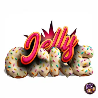 Sementes Feminizadas Jelly...