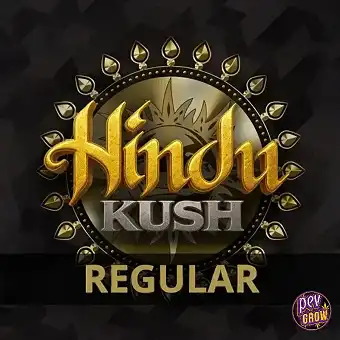 Редовни семена Hindu Kush –...