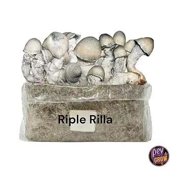 Riple Rilla – Pěstební sada...