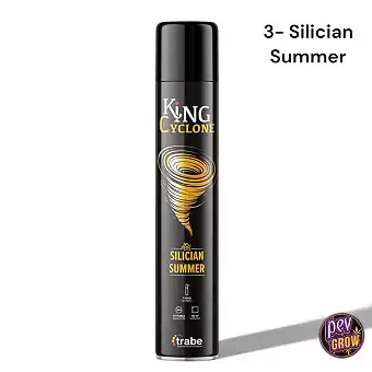 Cyclone Spray Deodorante...