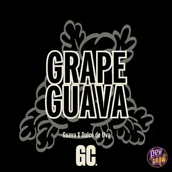 Semillas Feminizadas Grape...