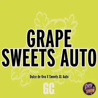 Grape Sweets Auto seemned –...