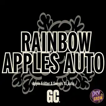 Σπόροι Rainbow Apples Auto...