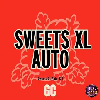 Sweets XL Autoren Haziak –...