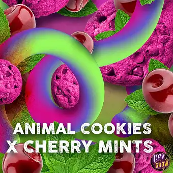Semenčka Cherry Cookies...