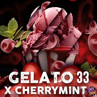 Llavors Feminitzades Gelato...