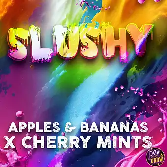Slushy feminiserte frø –...