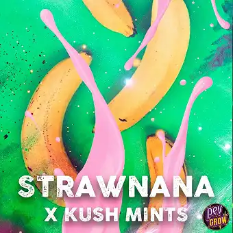 Strawnana Mints...