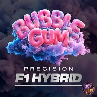 Semi Auto Bubblegum –...