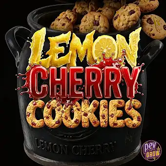 Auto Lemon Cherry Cookies –...