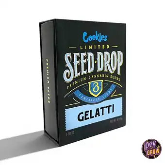 Semi Femminizzati Gelatti –...