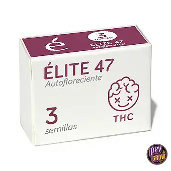 Auto Elite 47 Seeds – Elite...